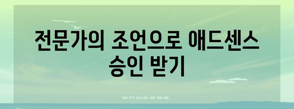 애드센스 승인 거절? 반성과 성장 기록을 통해 다시 도전하기