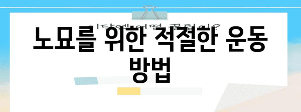 노묘 관절 건강 유지 | 안티놀의 필수성