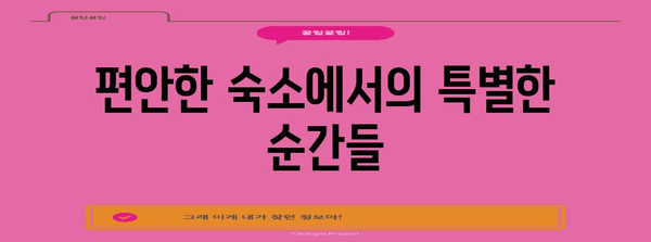 강아지와 함께 떠나는 휴식 여행 | 애견 풀빌라 보보 리조트 후기